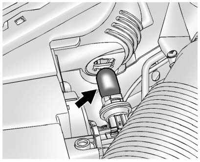 4. Remove the bulb from the bulb socket.