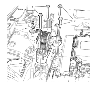 Preliminary Procedures